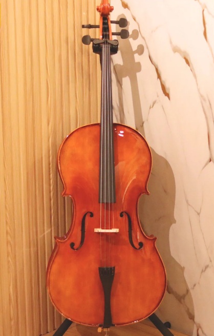 Đàn cello Acutis ACS30 1/4-4/4