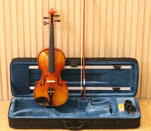 Đàn violin Acutis AHV3601 3/4-4/4